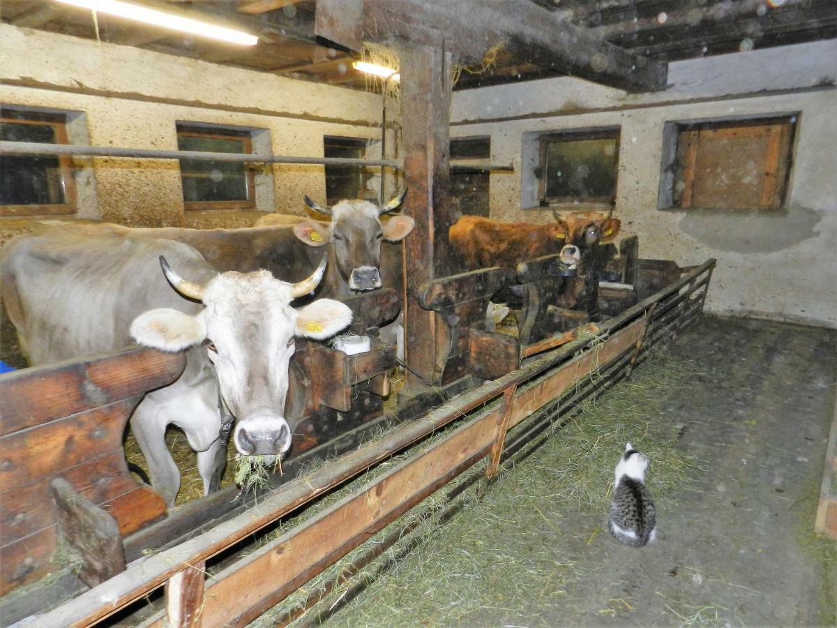 Gedrarzerhof Lejlighed Luson Eksteriør billede